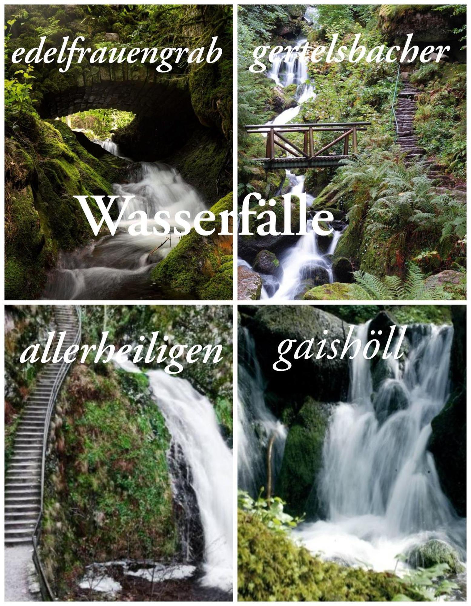 סאסבאכוואלדן Gaishoell-Wasserfaelle Apartment Schwarzwald מראה חיצוני תמונה